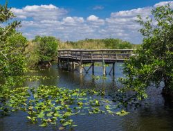 Everglades National Park boarded bridge