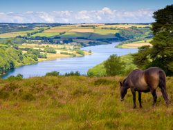 Exmoor National Park wimbleball lake with horse