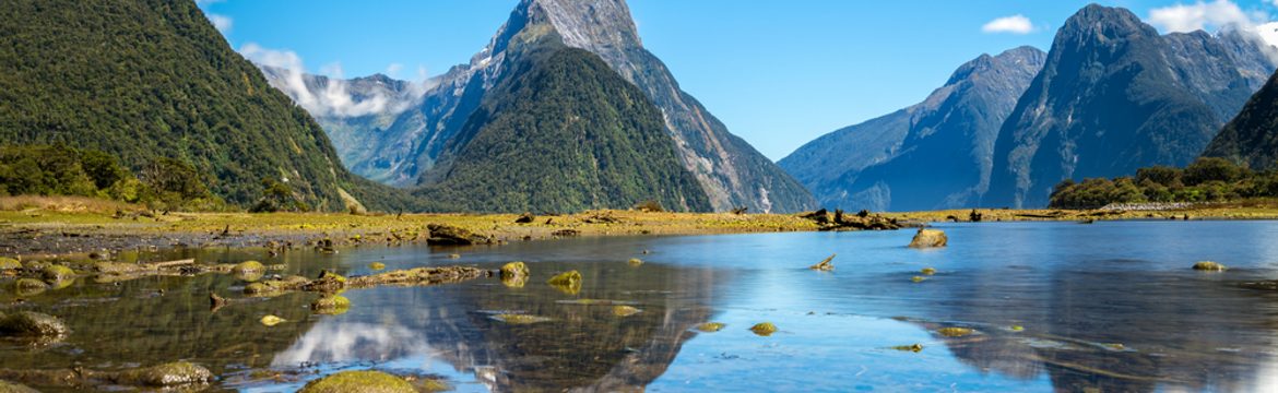 Featured image for Fiordland National Park