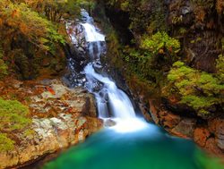 Fiordland National Park Falls Creek