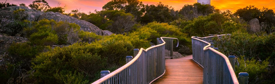 Featured image for Freycinet National Park