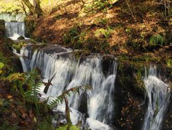 Fuj Hakone Izu National Park series of falls