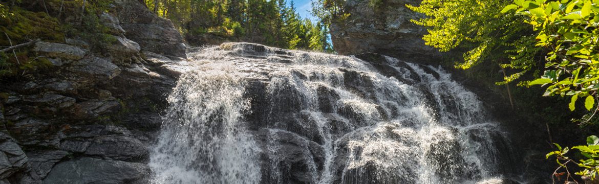 Featured image for Fundy National Park