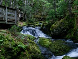 Fundy National Park  creek