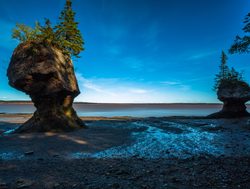 Fundy National Park  hopewell rocks low tide