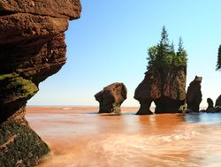 Fundy National Park hope well rocks with rising tide