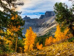 Great Basin National Park fall foliage