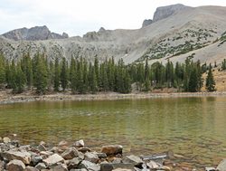 Great Basin National Park pond
