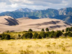 Great Sand Dunes National Park grasslands and mountain background