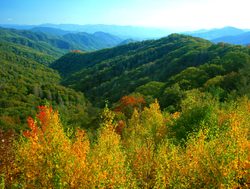 Great Smokey Mountains National Park forested range