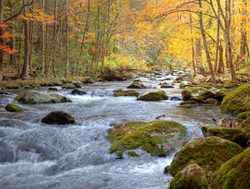 Great Smokey Mountains National Park river in fall foliage