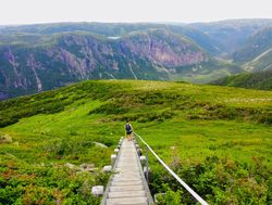 Gros Morne National Park boarded trail