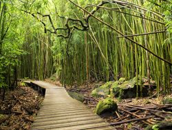 Haleakala National Park boardwalk trail