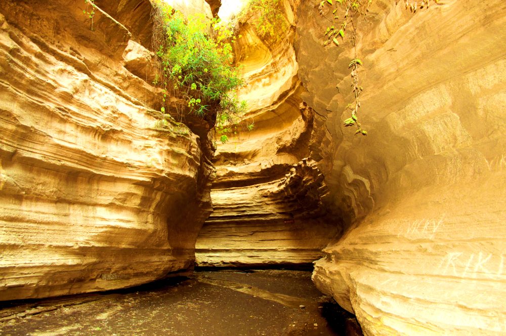 Hell's Gate National Park (Official GANP Park Page)