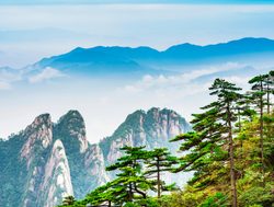 Huangshan National Park pines and mountain range