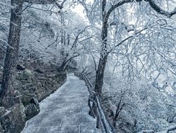 Huangshan National Park trail in winter