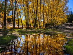 Ifrane National Park fall foliage reflection