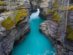 Jasper National Park athabasca falls gorge