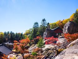 20210726194959 Jirisan National Park hwaeomsa fall foliage