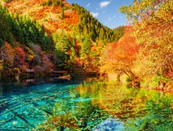 Jiuzhaigou National Park Five FLower Lake with fall foliage