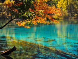 Jiuzhaigou National Park turquoise lake with fall foliage