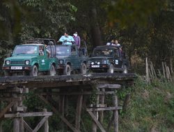 Safari vehicles in Kaziranga National Park