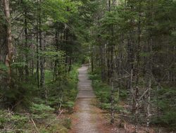 Kejimkujik National Park paved trail
