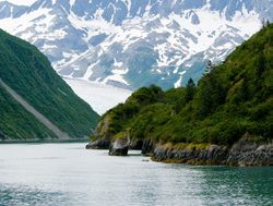 Shoreline of Kenai Fjords National Park