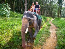 Khao Sok National Park couple on elephant safari