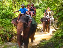 Khao Sok National Park group on elephant safari