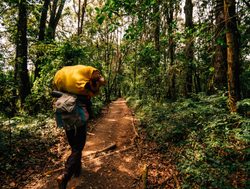 Mount Kilimanjaro National Park trail to start