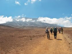 Mount Kilimanjaro National Park trek to Kibo