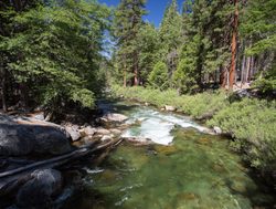 River in Kings Canyon National Park