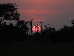 Kissama National Park sunset