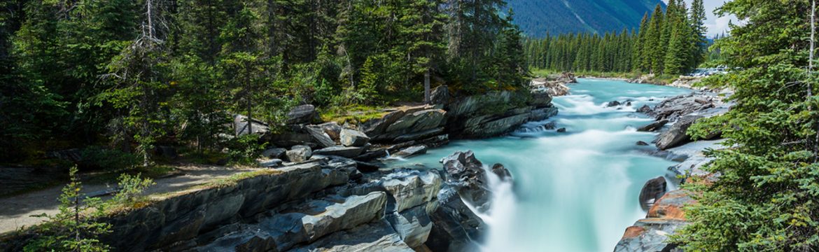 Featured image for Kootenay National Park
