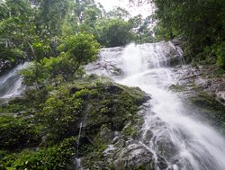 Korup National Park waterfall