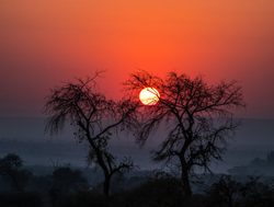 Kruger National Park sun setting