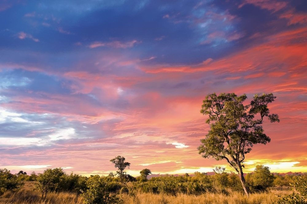 Kruger National Park (Official GANP Park Page)
