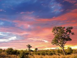 Kruger National Park sunset on the clouds