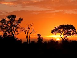 Kruger National Park sunset