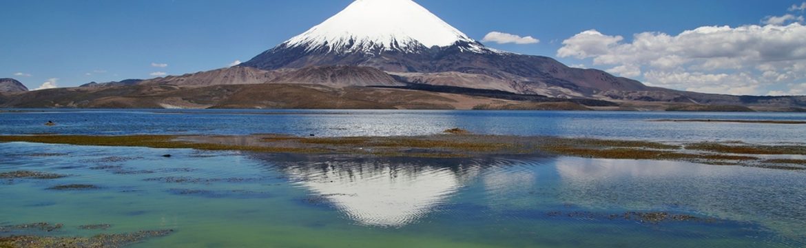 Featured image for Lauca National Park
