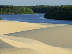 20220717124132 Lencois Maranhenses National Park dry sand meets lush forests