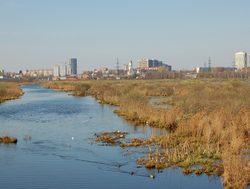 Losiny Ostrov National Park with city background