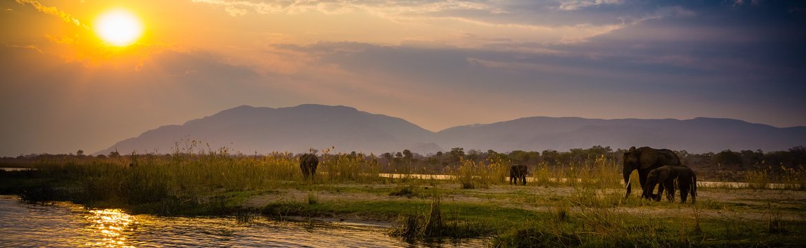 Featured image for Lower Zambezi National Park