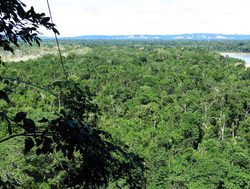 Madidi National Park amazon rainfoest aerial