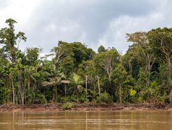 Madidi National Park beni river and amazon rainforest