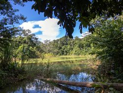 Madidi National Park green lake within amazon rainforest