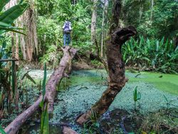 Madidi National Park hiking amazon rainforest