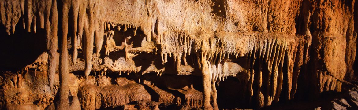 Featured image for Mammoth Cave National Park