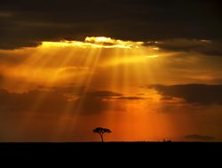 Masaii Mara sunset